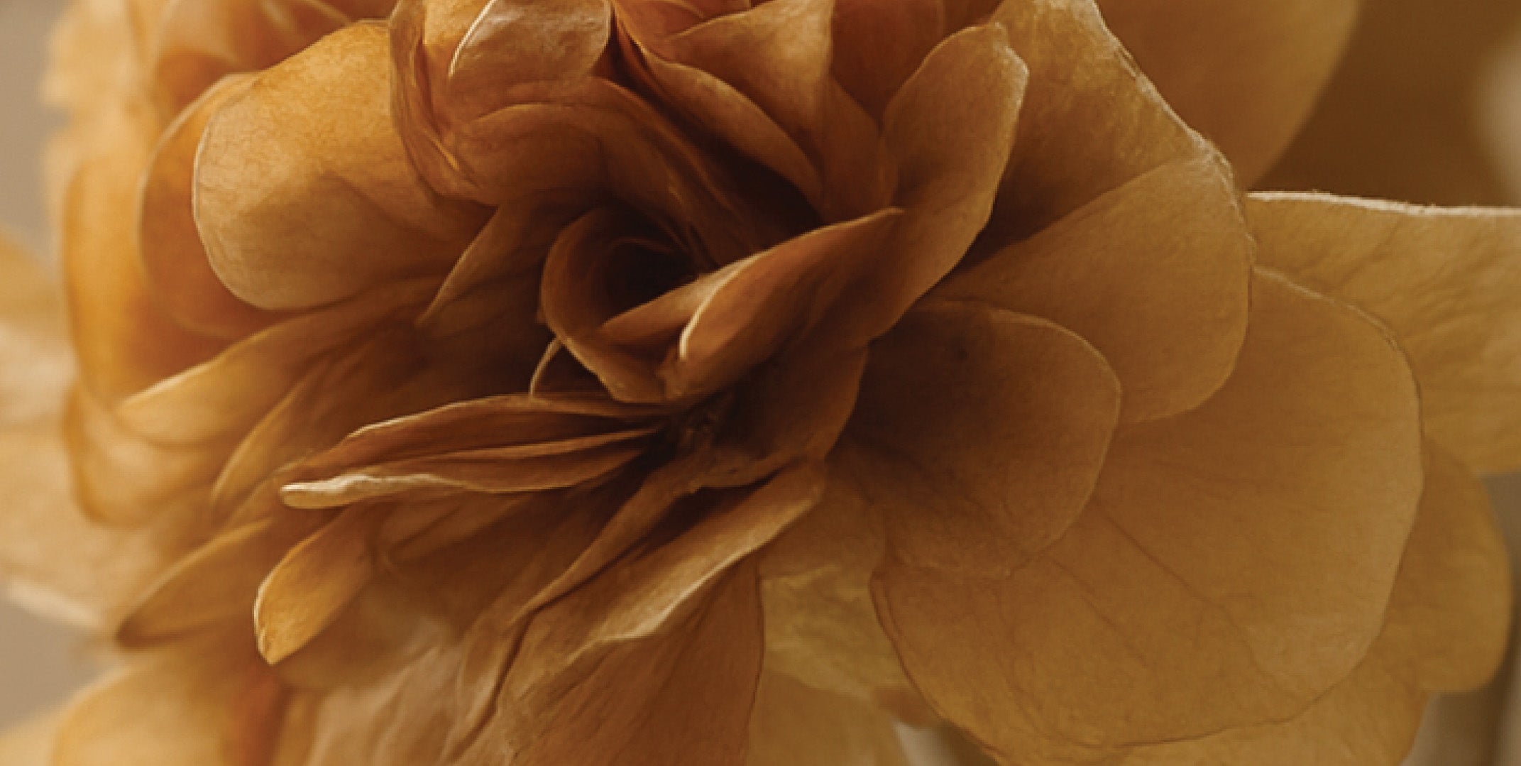 The Art of Styling Floral Prints