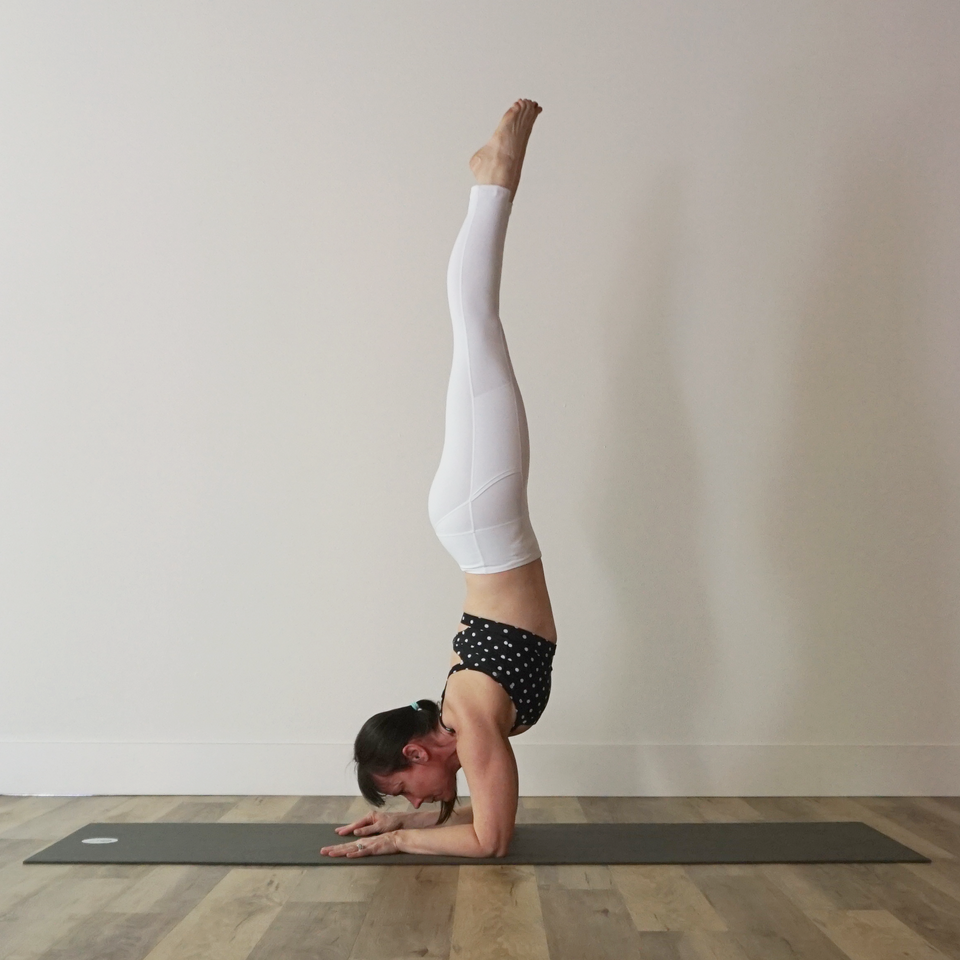 Preparation Poses for Forearm Stand