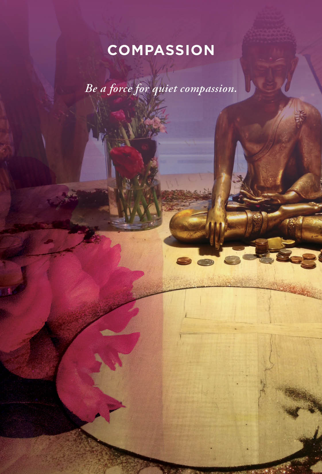 Yoga card of a statue of a Buddha with a pink flower and coins on a reflective surface, with text 'COMPASSION Be a force for quiet compassion.'.